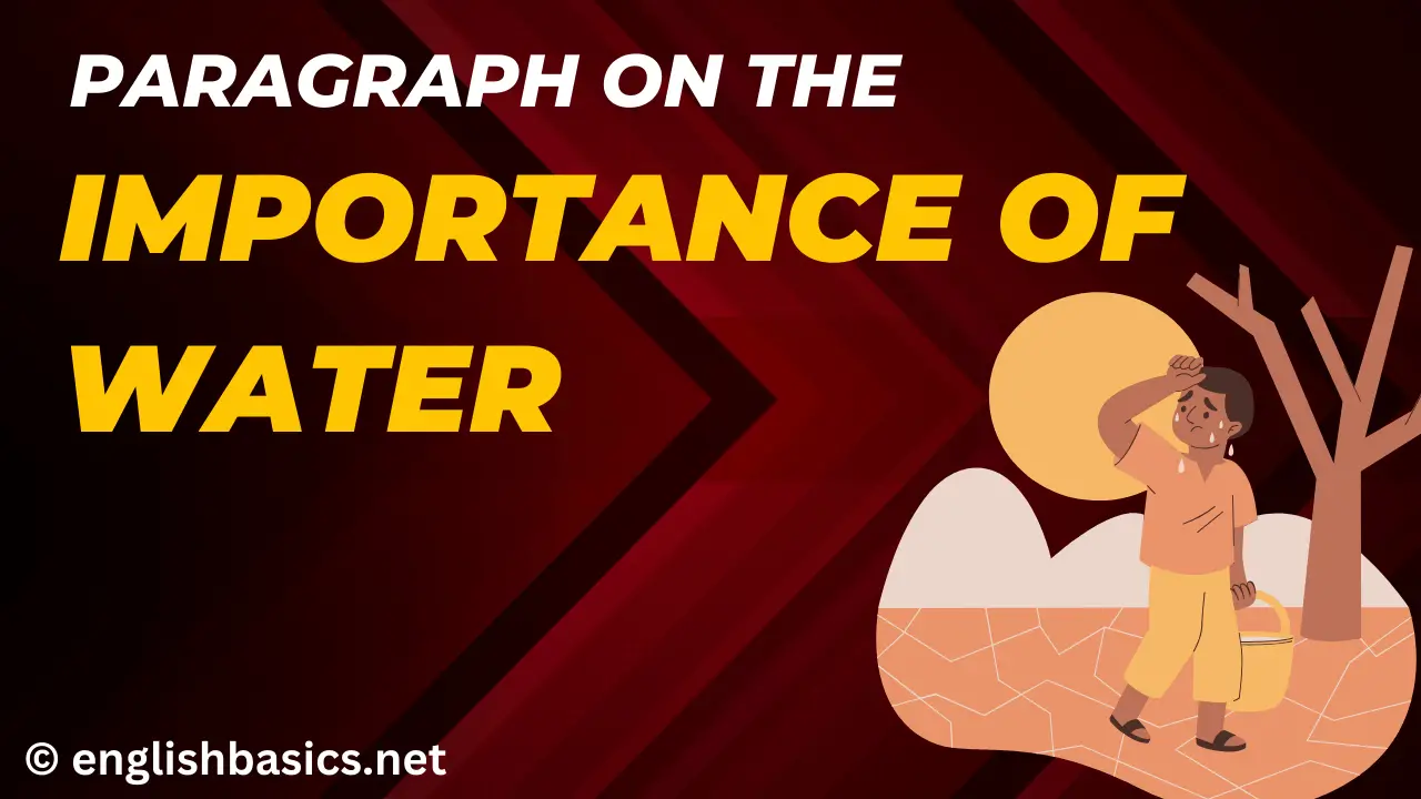 Paragraph On The Importance Of Water English Basics Paragraph On The Importance Of Water English Basics